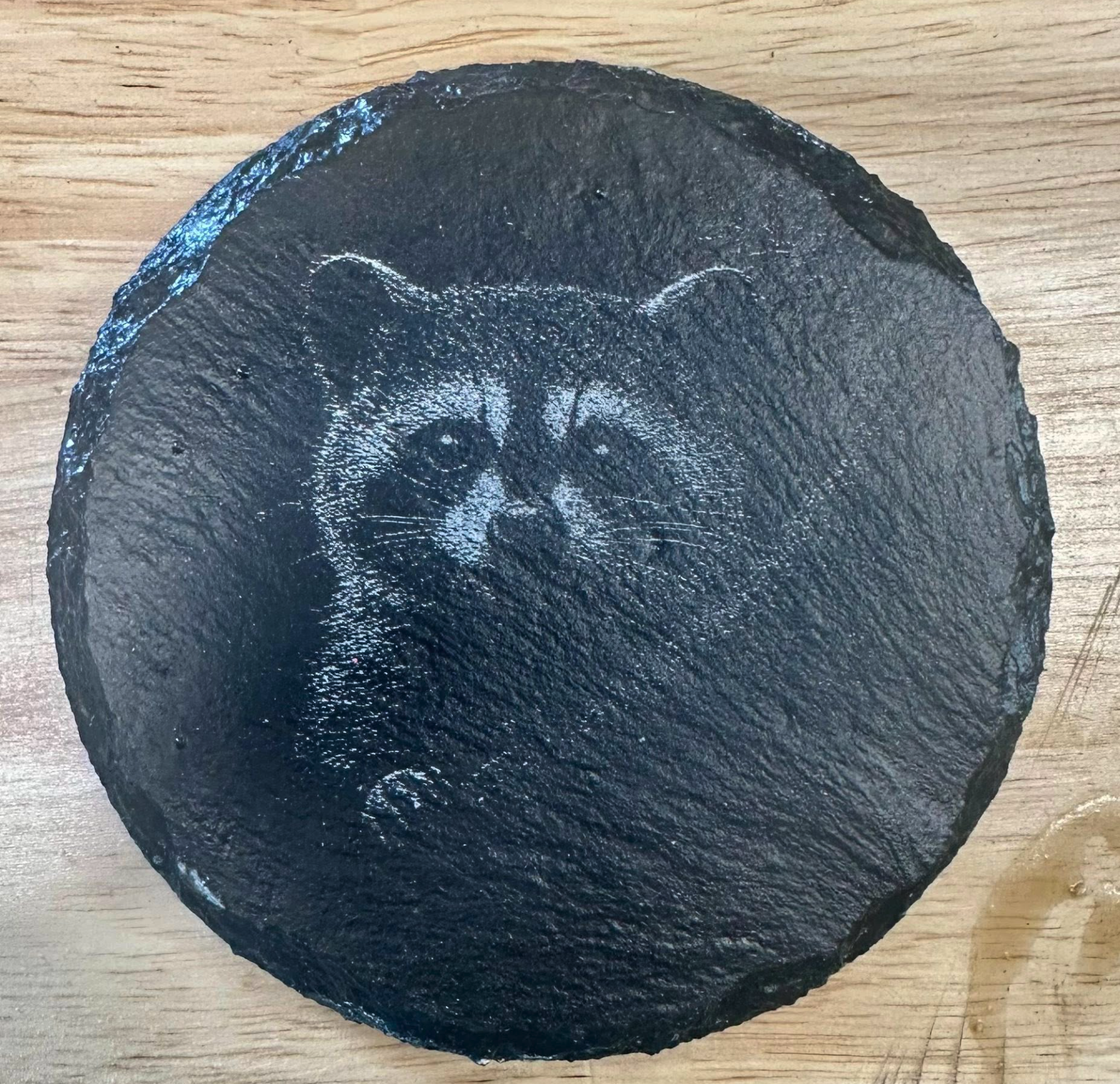 Pet Portrait Slate Coasters